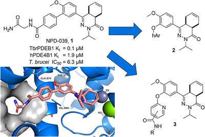 Discovery of Diaryl Ether Substituted Tetrahydrophthalazinones as TbrPDEB1 Inhibitors Following <mark class="highlighted">Structure-Based Virtual Screening</mark>
